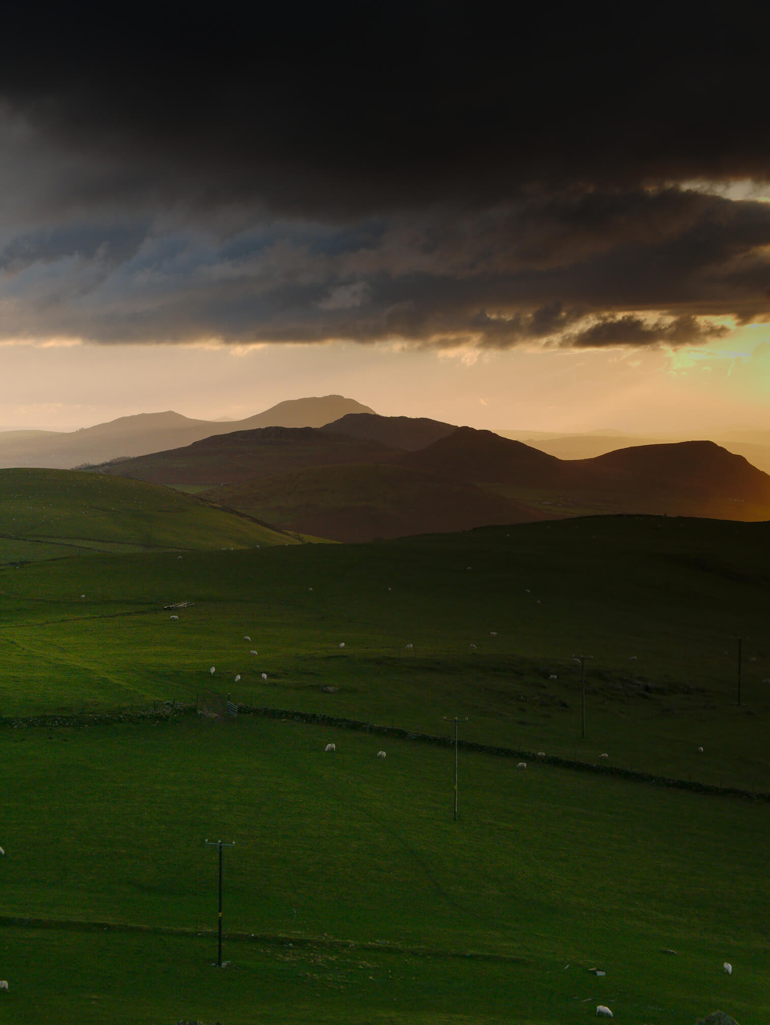llyn peninsula gwynedd north wales barren landscape sheep farming pasture