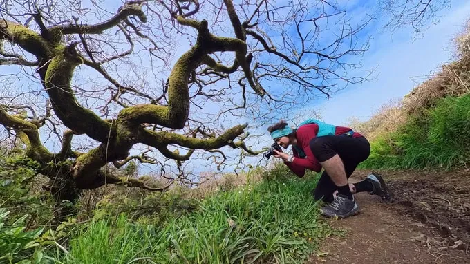 for the trail kelp and fern martin passionate about environment